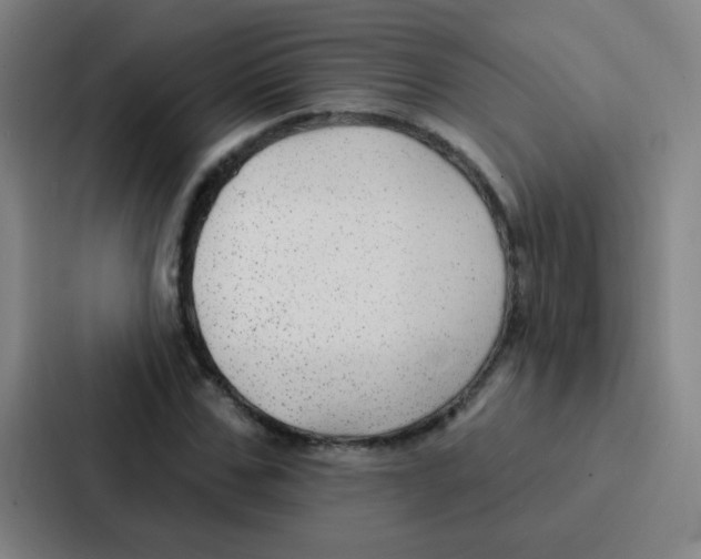 X0000086930971200705141739