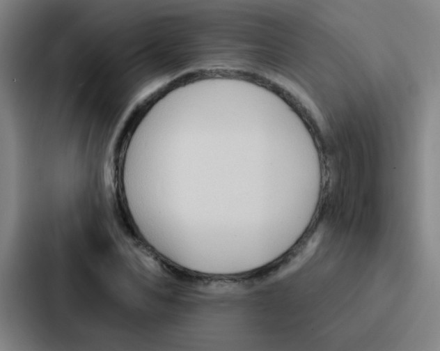 X0000086930974200705141739