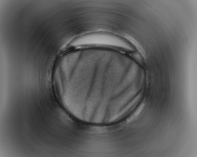 X0000086930977200705141739