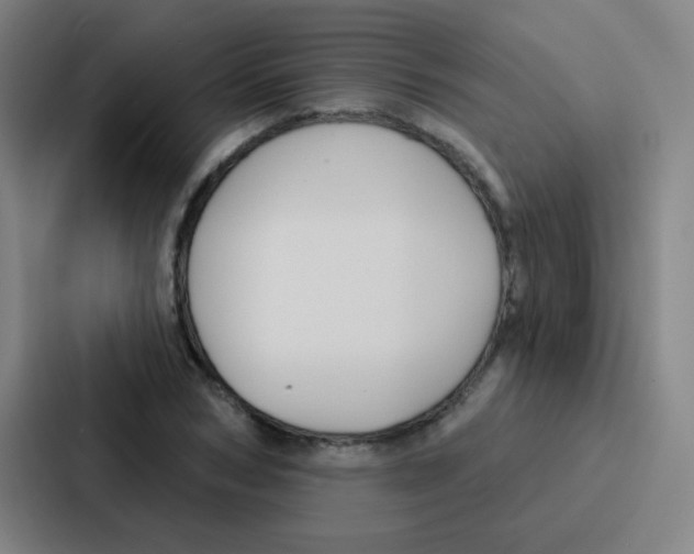 X0000086930978200705141739