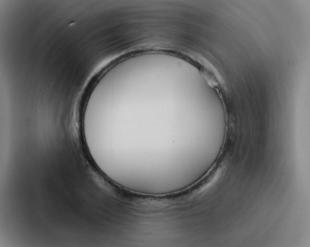 X0000086930981200705141739