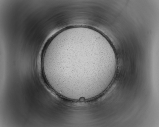 X0000086930982200705141739