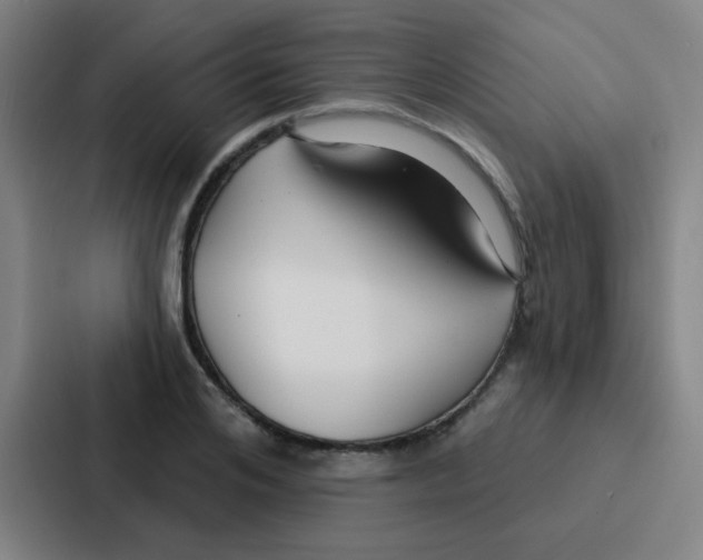 X0000086930984200705141739