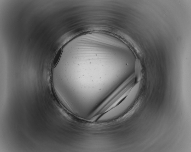 X0000086930985200705141739