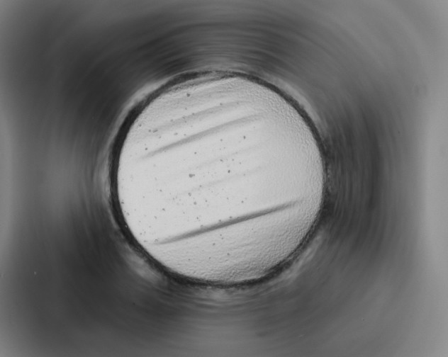 X0000086930987200705141739