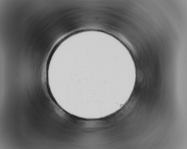 X0000086930988200705141739