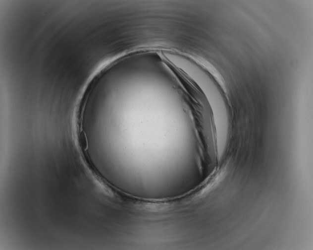 X0000086930989200705141739