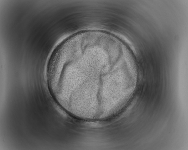 X0000086930990200705141739