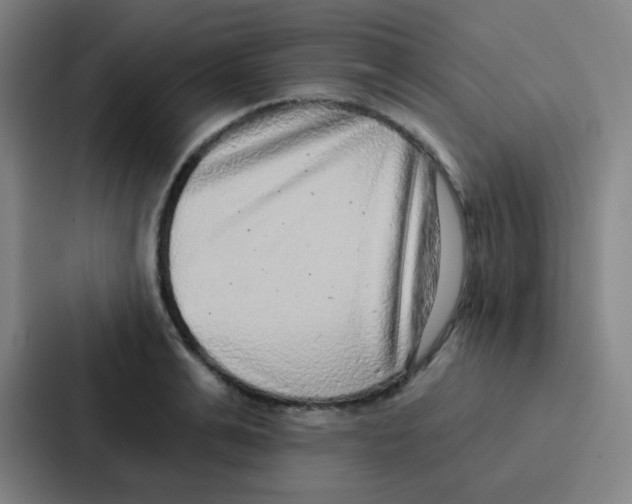 X0000086930991200705141739