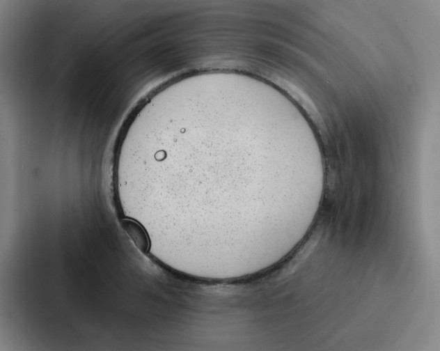 X0000086930992200705141739