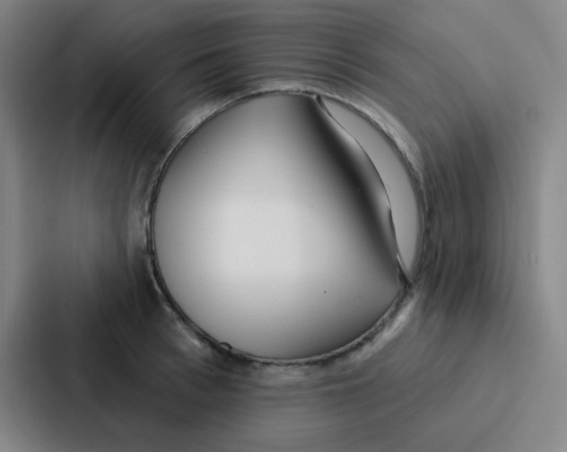 X0000086930993200705141739