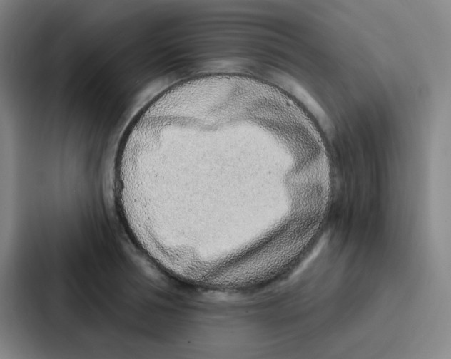 X0000086930994200705141739