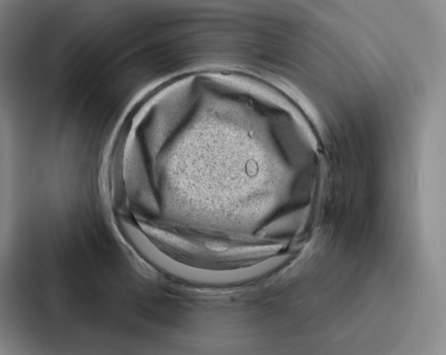 X0000086930996200705141738