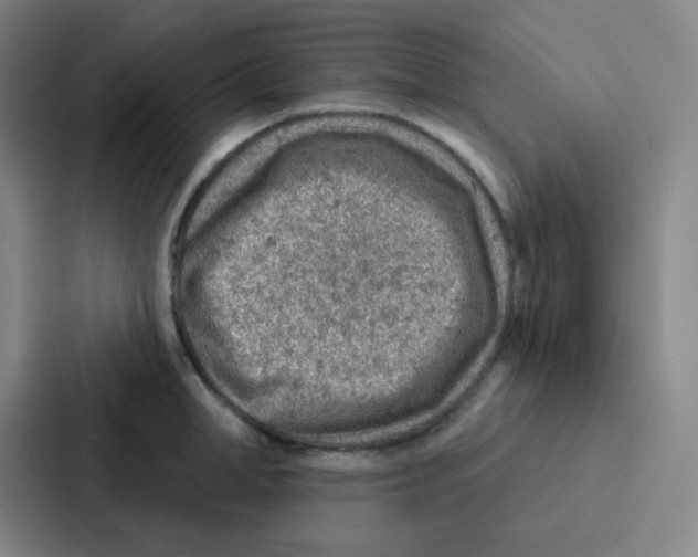 X0000086930998200705141738