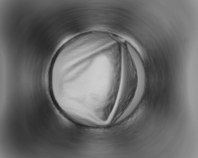 X0000086930999200705141738