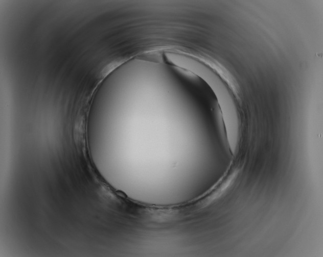 X0000086931001200705141738