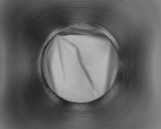 X0000086931002200705141738