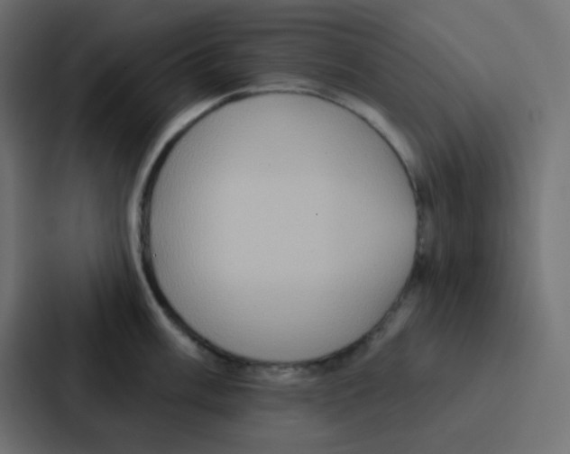 X0000086931003200705141738