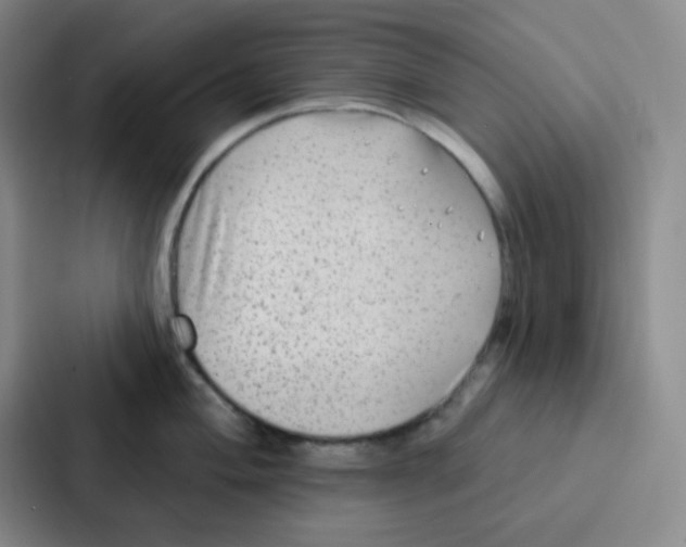 X0000086931004200705141738