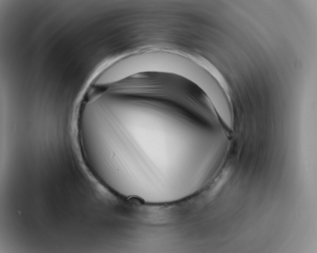 X0000086931005200705141738