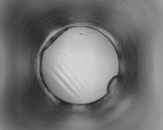 X0000086931006200705141738