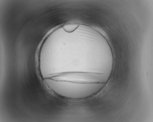 X0000086931008200705141738