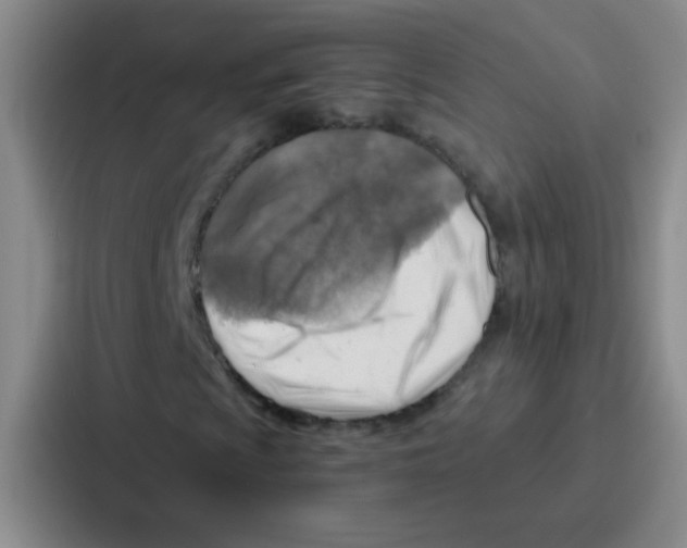 X0000086931009200705141738