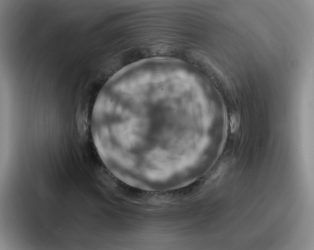 X0000086931011200705141738