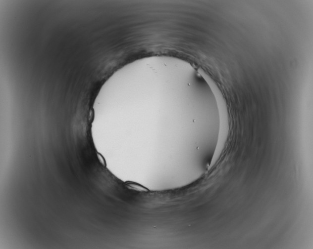 X0000086931012200705141738