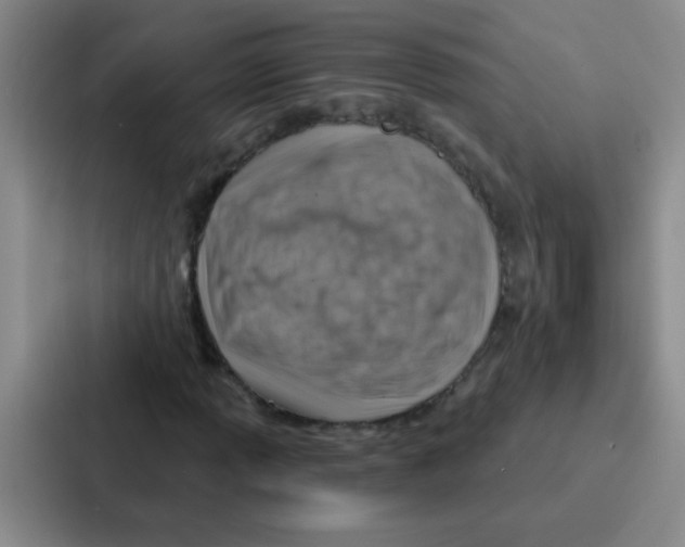 X0000086931013200705141738