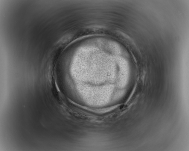 X0000086931014200705141738