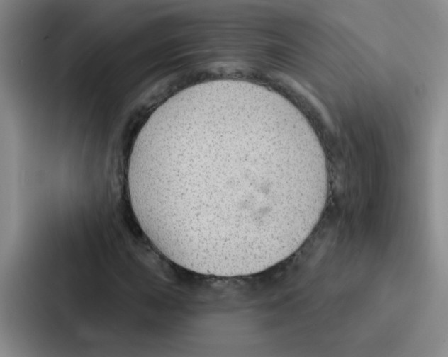 X0000086931015200705141738