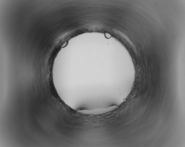 X0000086931016200705141738