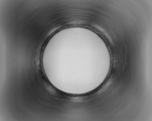 X0000086931017200705141738