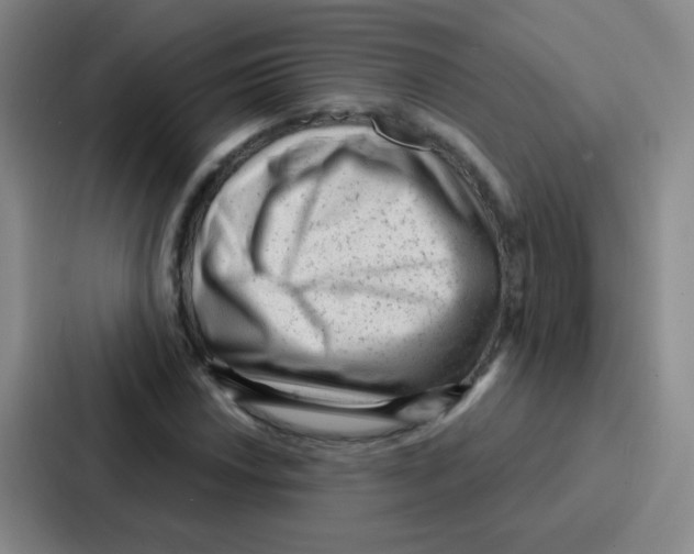 X0000086931018200705141738