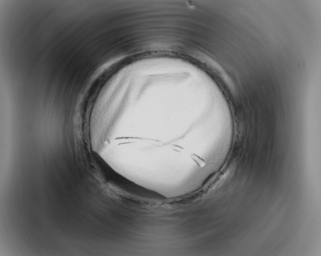 X0000086931019200705141738