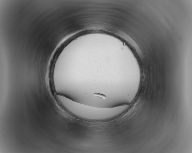 X0000086931020200705141738