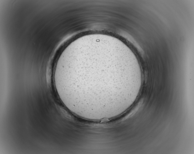 X0000086931021200705141738