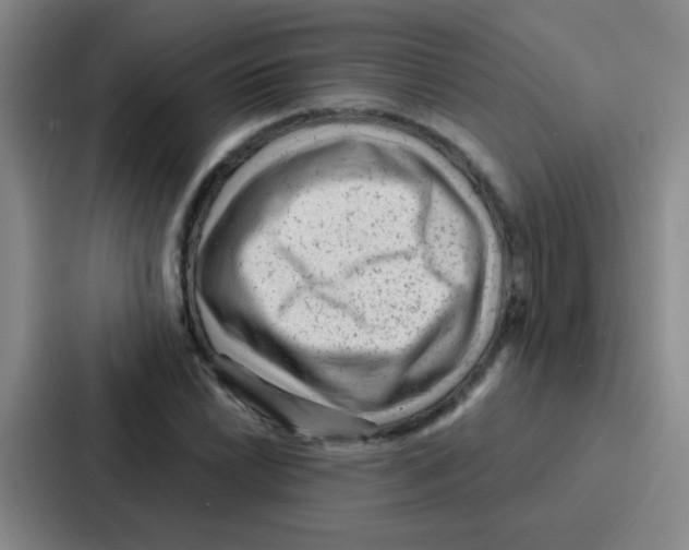 X0000086931022200705141738