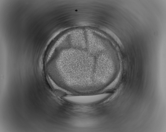 X0000086931023200705141738