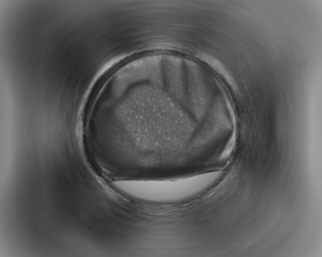 X0000086931024200705141738