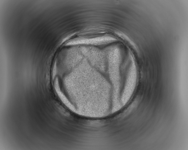 X0000086931025200705141738