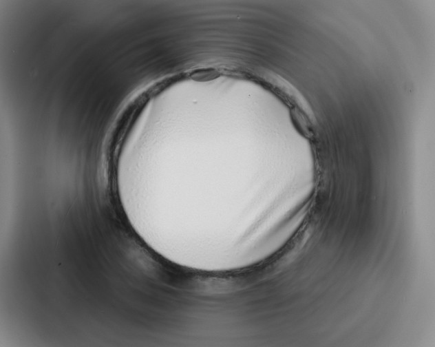 X0000086931027200705141738