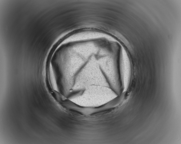 X0000086931028200705141738