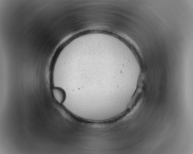 X0000086931029200705141738