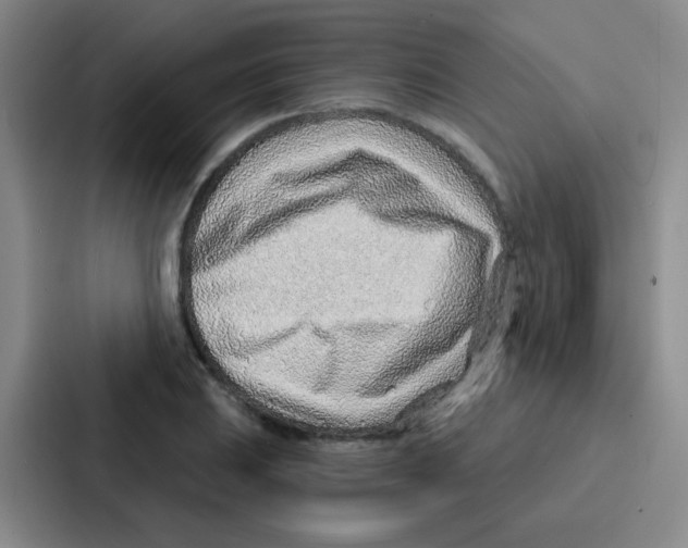 X0000086931031200705141738