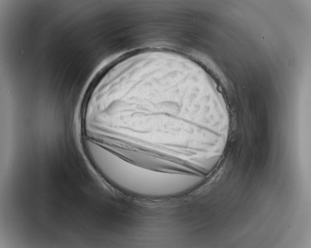 X0000086931032200705141738