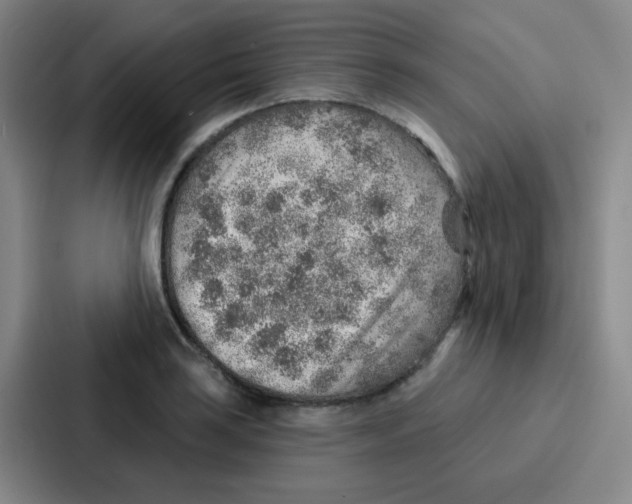 X0000086931035200705141738