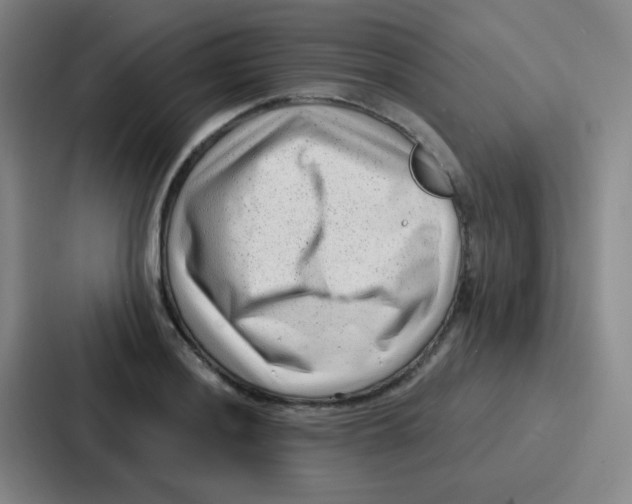 X0000086931036200705141738