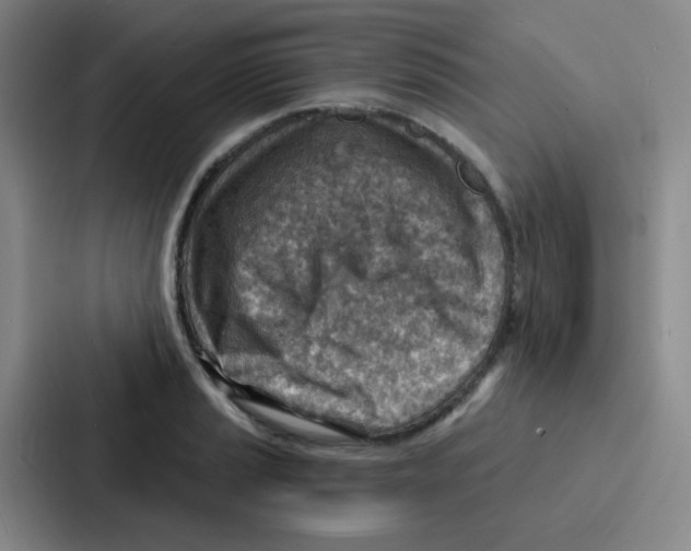 X0000086931037200705141738